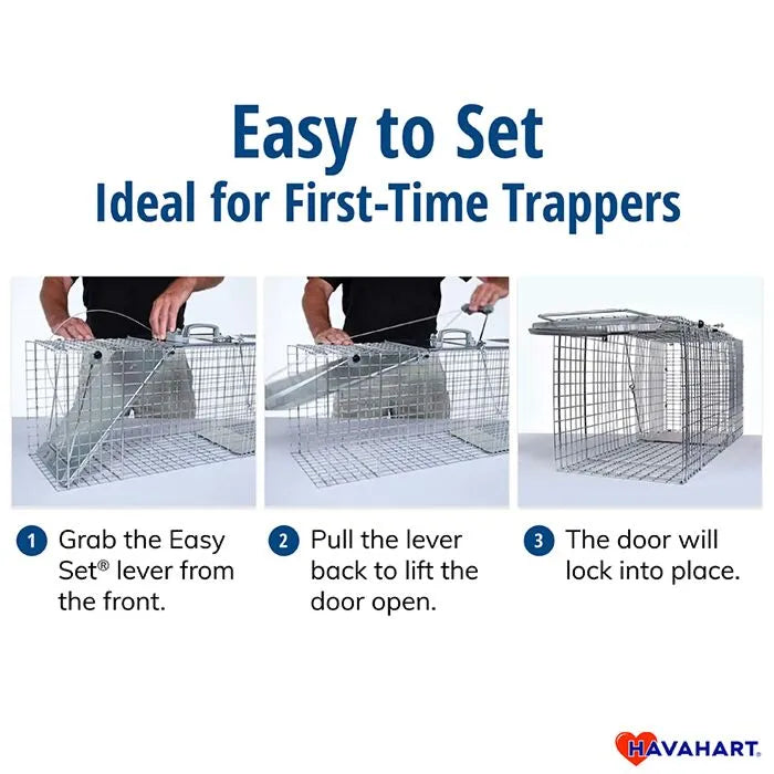 Havahart Easy Set Small 1-Door Trap