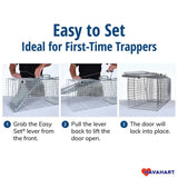 Havahart Easy Set Small 1-Door Trap