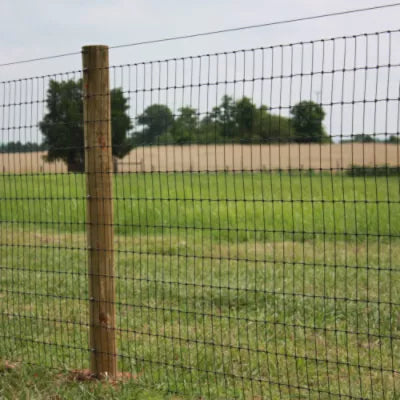 48" Non Climb Horse Fence - 100' Black