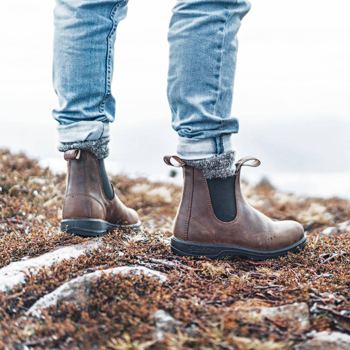 Blundstone 1609 - Classic Antique Brown