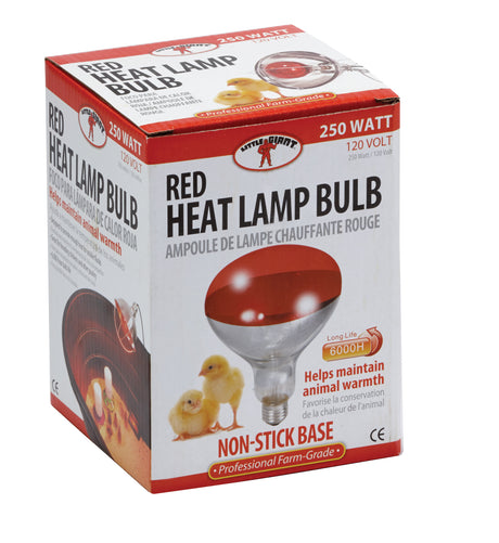Heat Bulb