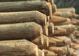 Pressure Treated Posts | 4-5 Inch Diameter | Contractor Grade | PWP PREMIUM