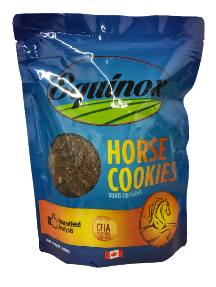 Equinox Horse Cookies