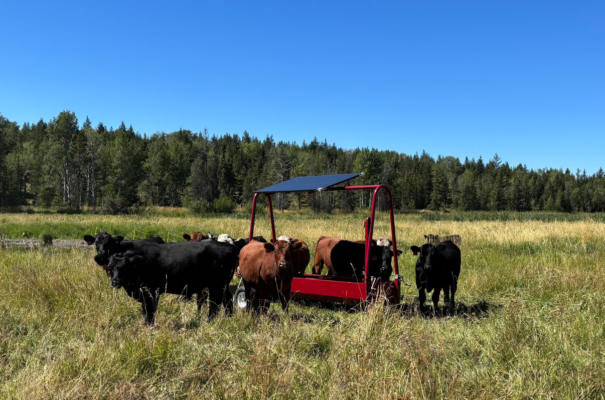 Solar Powered Stock Waterer - 250 Head Capacity | Portable 275 Gal | Clearfab