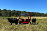 Solar Powered Stock Waterer - 250 Head Capacity | Portable 275 Gal | Clearfab