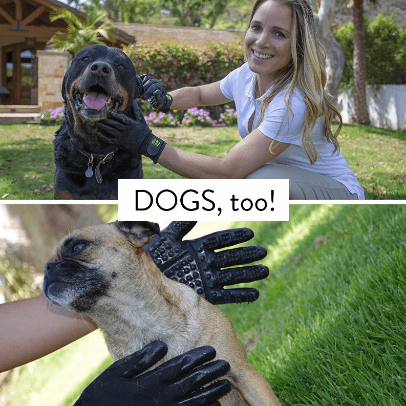 Hands On Grooming Glove