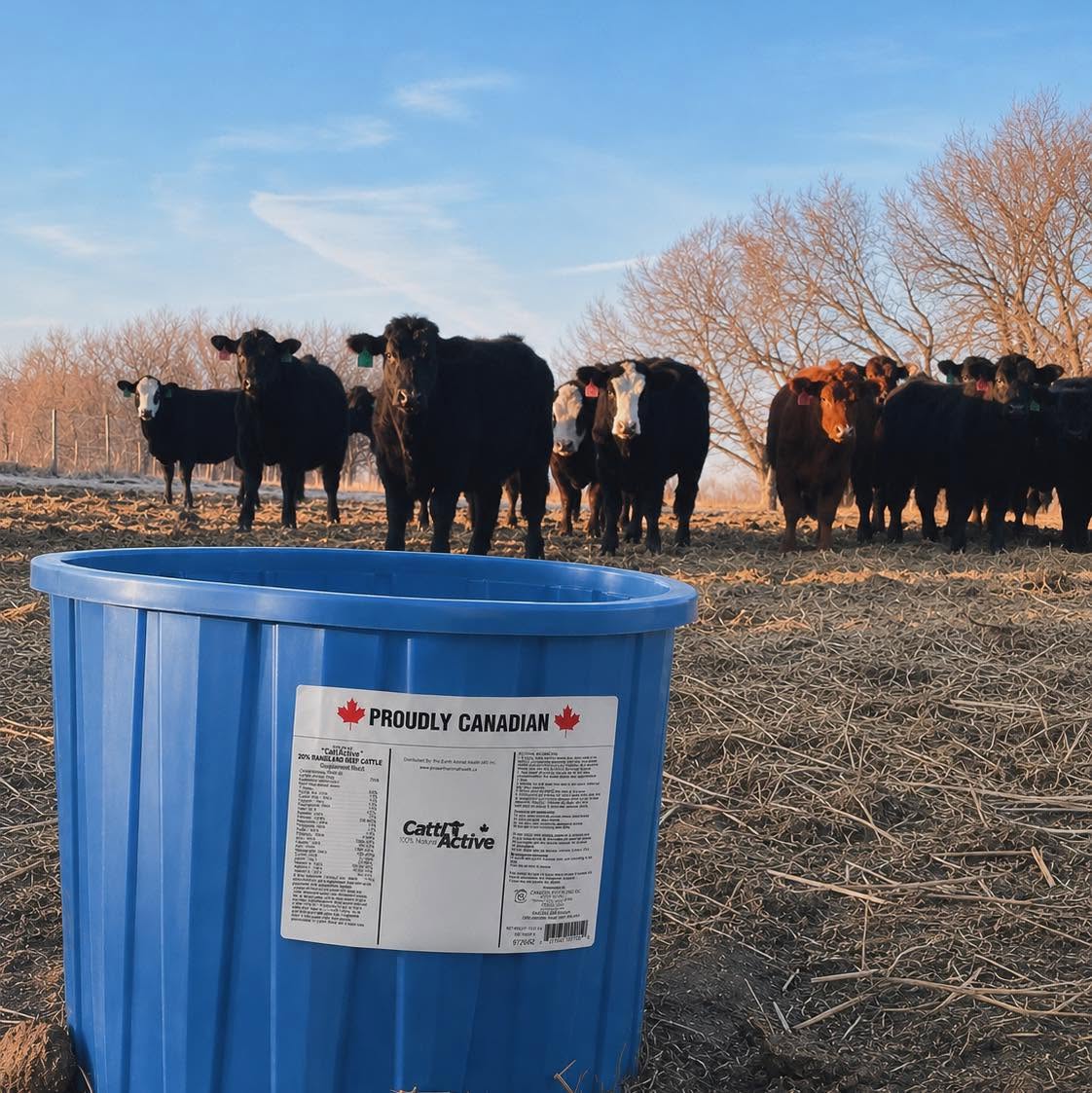 CattlActive® 20% All-Natural with Garlic Livestock Tub 113.4KG