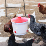 Heated Chicken Waterer | 2 Gallon | Farm Innovators HB 60 P