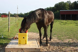 Ritchie Omni 2 40 Head Waterer