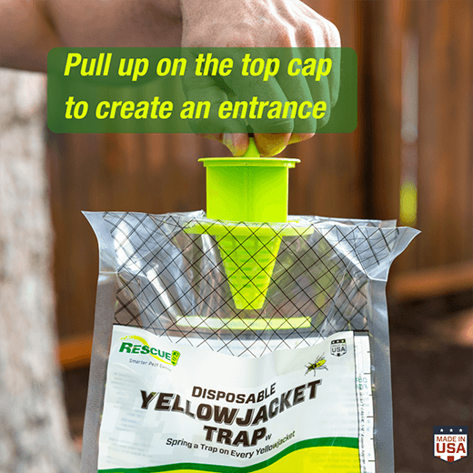 Rescue! Disposable Yellow Jacket Traps