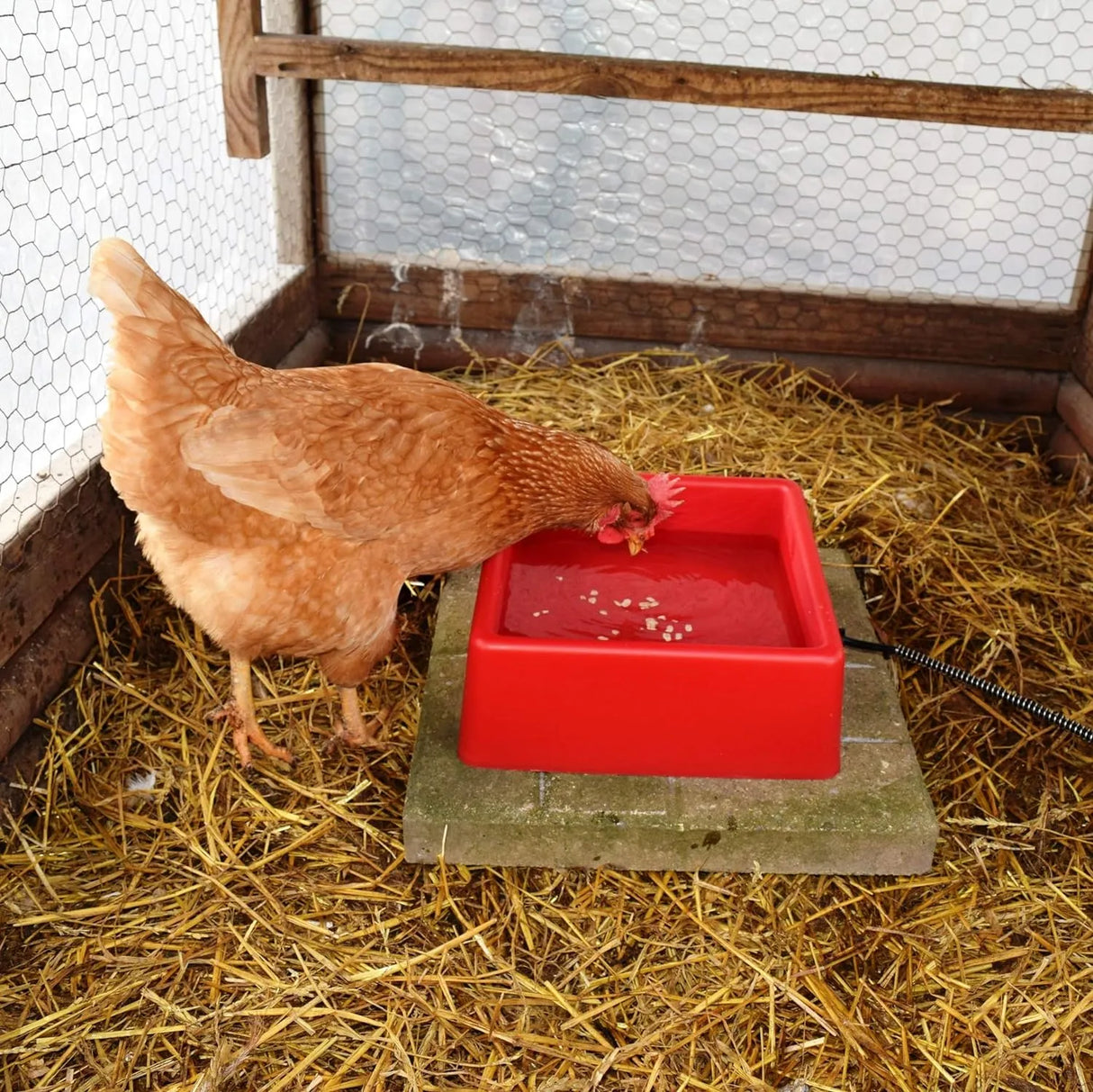 Heated Pet Bowl | 1.25 Gallon/5 Litre | Square | Farm Innovators D-19