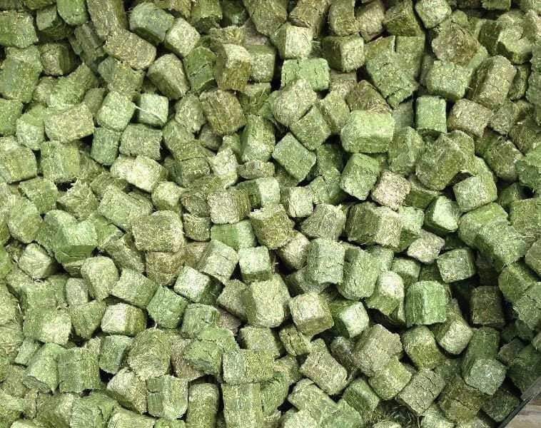 Mini Bulk Timothy-Alfalfa Cubes (500 kg.)