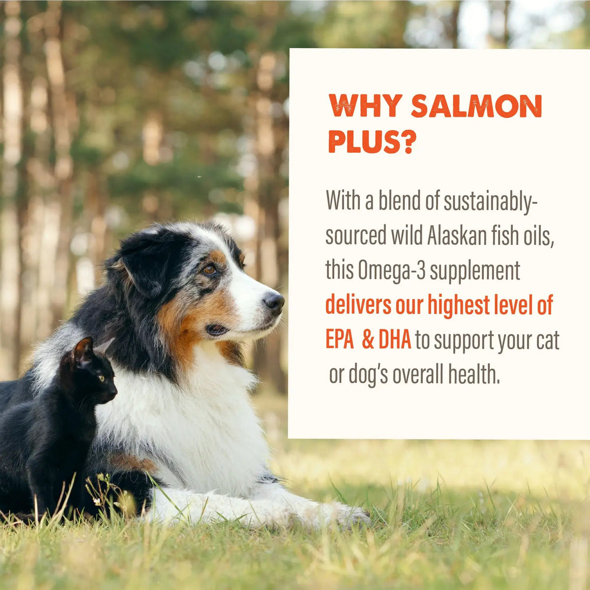 Grizzly Salmon Plus Omega Oil Supplement for Dogs and Cats | 16oz