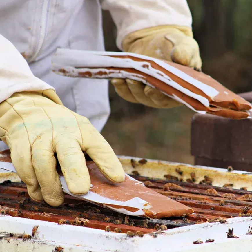 Beekeeping Supplies | Bee Patties