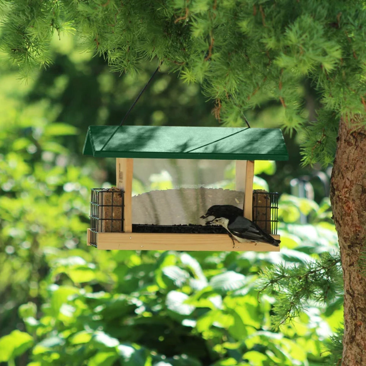 Pinebush Wooden Hopper Bird Feeder with Suet Cages