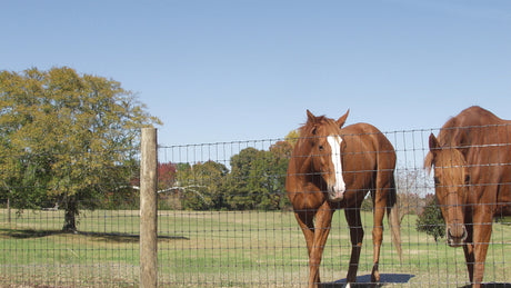 60" Non Climb Horse Fence - 100' Galvanized