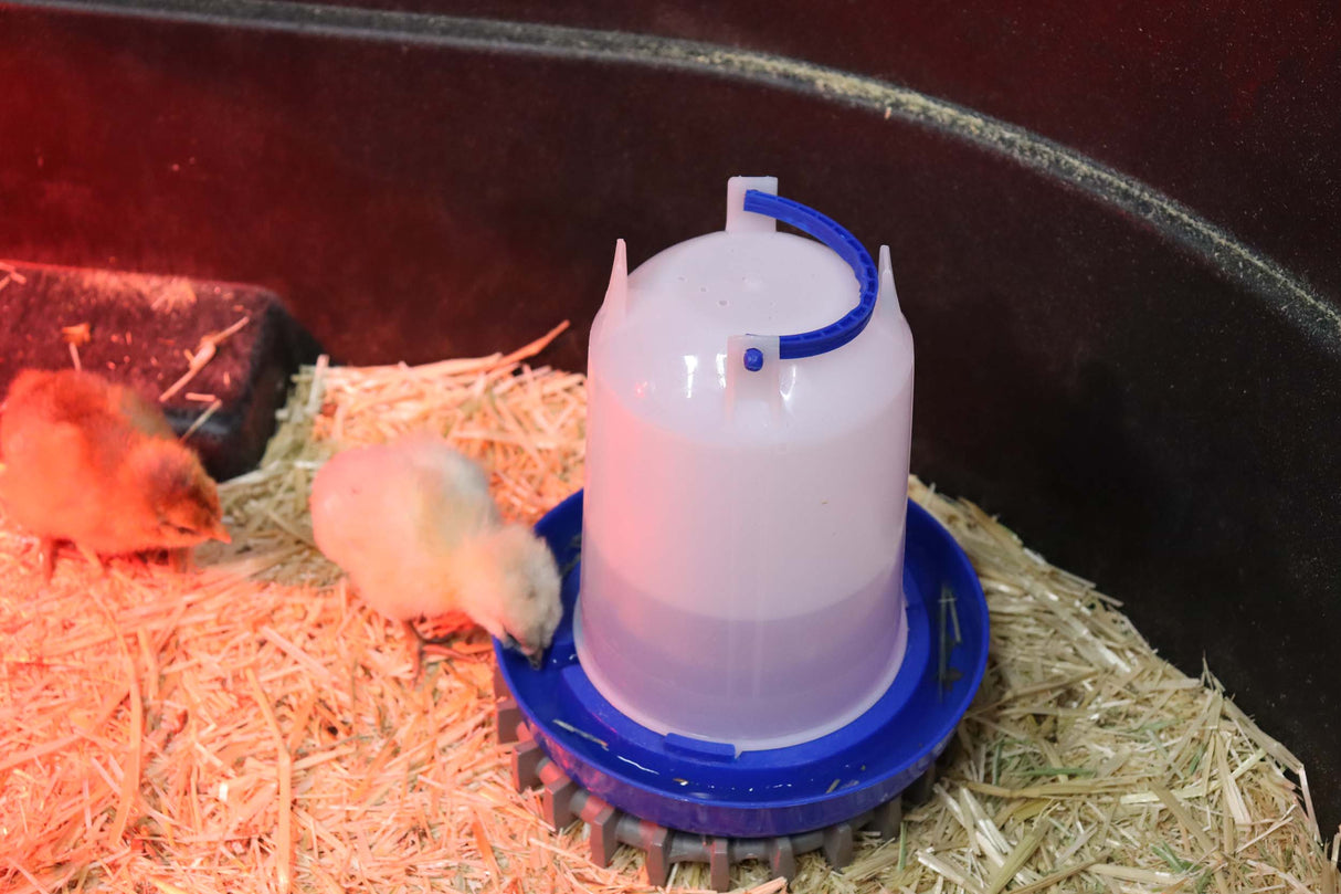Little Giant Double Tuf Plastic Poultry Feeder 1.5Qt