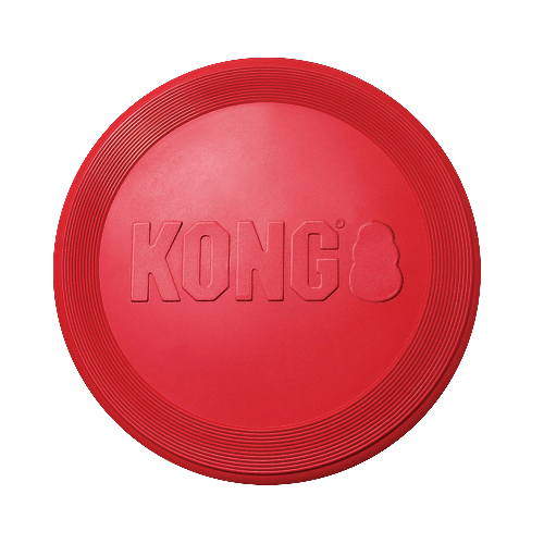 Kong Flyer