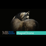 Mad Barn Magnechrome Horse Feed Supplement 5kg