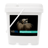 Mad Barn Magnechrome Horse Feed Supplement 5kg