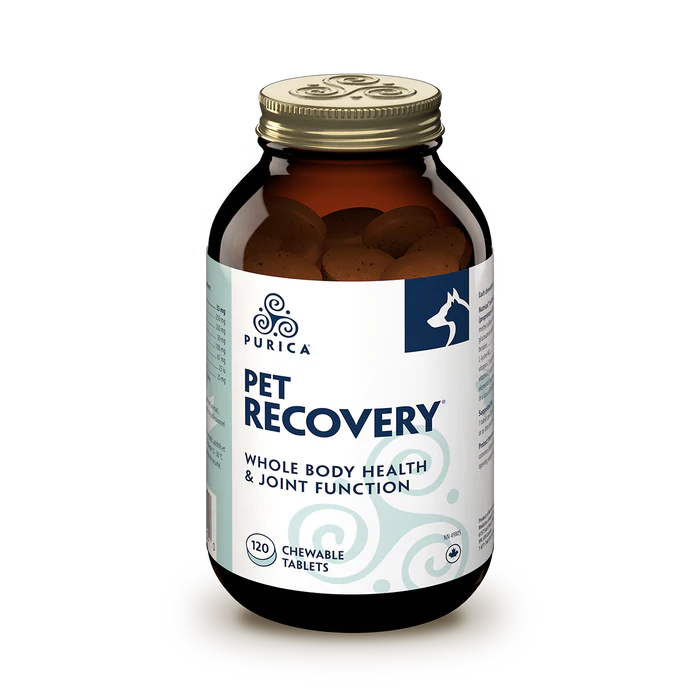 Recovery Sa Extra Strength Chewables 120S