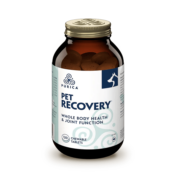 Recovery Sa Extra Strength Chewables 120S