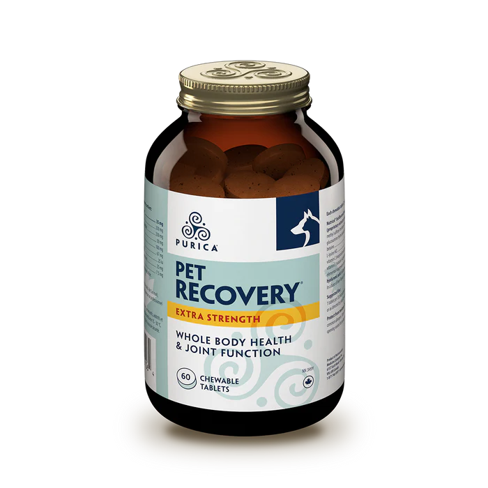 Recovery Sa Extra Strength Chewables 60S