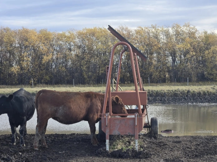 Solar Powered Stock Waterer - 250 Head Capacity | Portable 275 Gal | Clearfab
