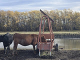 Solar Powered Stock Waterer - 250 Head Capacity | Portable 275 Gal | Clearfab