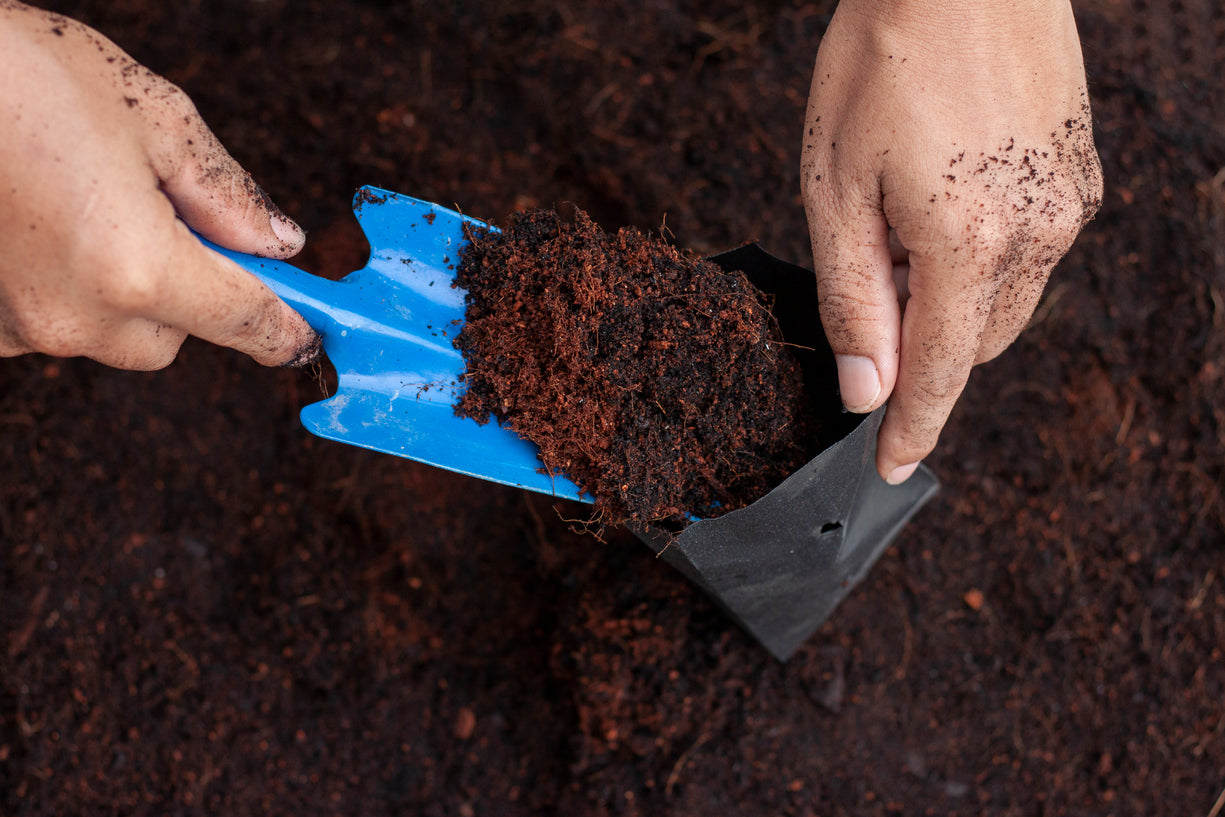 Garden Centre Purity Feed Kamloops