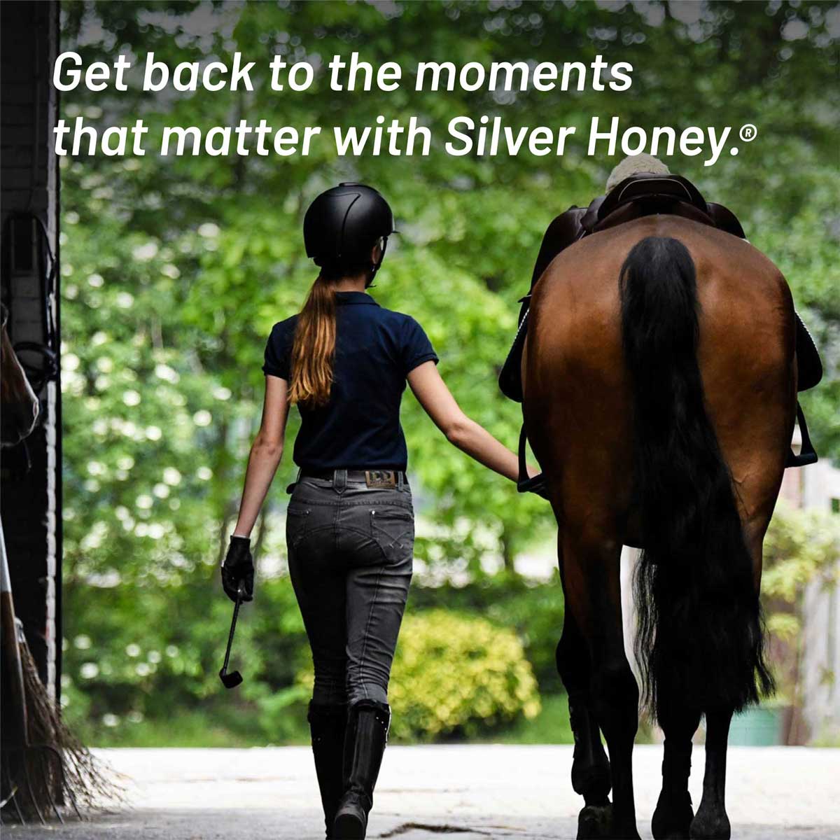 Absorbine Silver Honey Rapid Relief Hygienic | Horse Shampoo | 473 ml