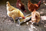 Little Giant Galvanized Poultry Feeder Trough with Grate 20"