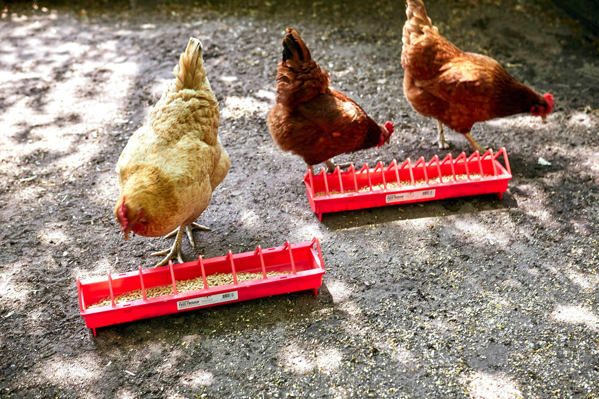 Little Giant Plastic Poultry Feed Trough 20"