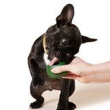 Woof Pet Pupsicle Treat Tray for Dogs | Large