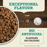 Acana Coldwater Fish Dry Dog Food | 11.4kg