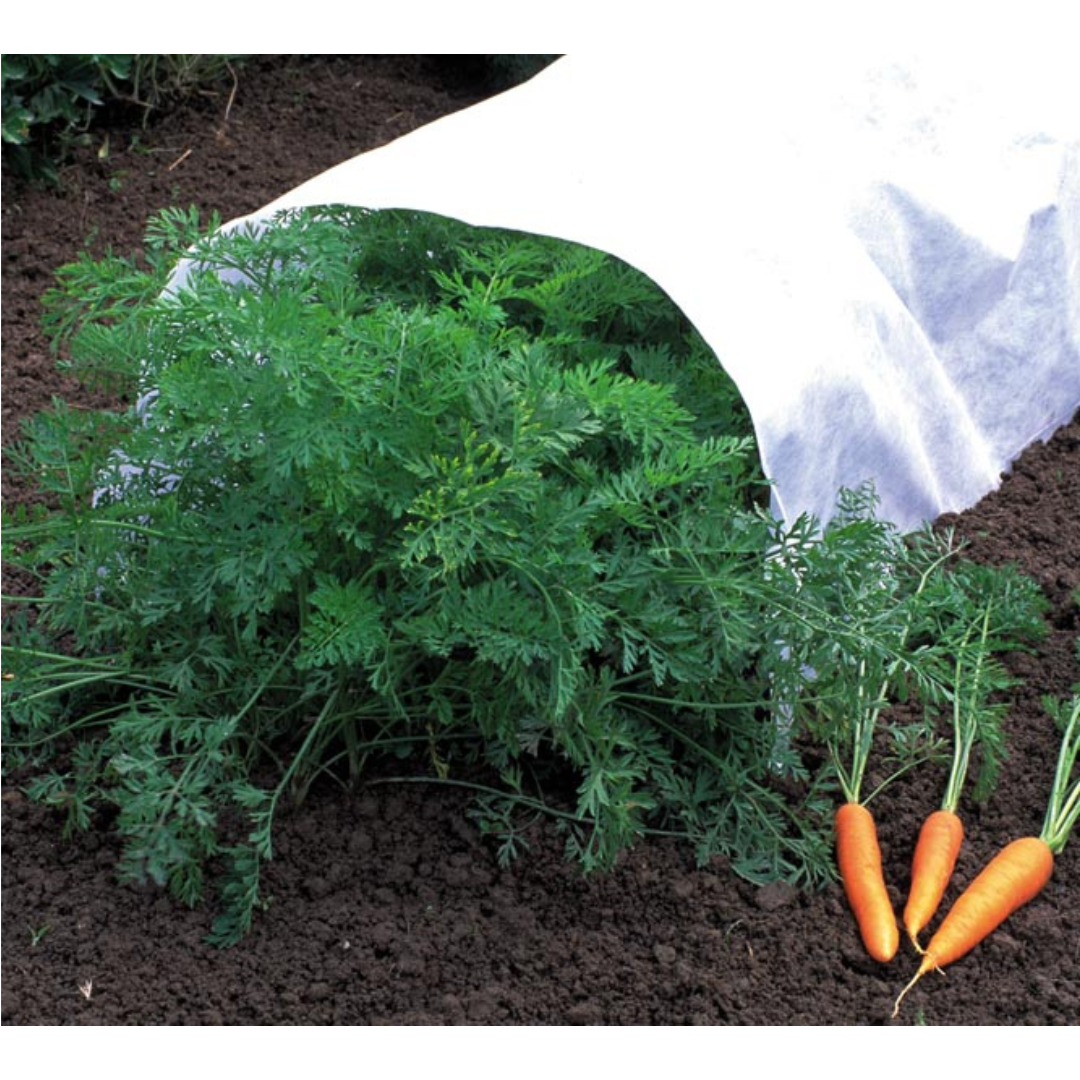 Crop Cover White 30G (Floating Row Cover)