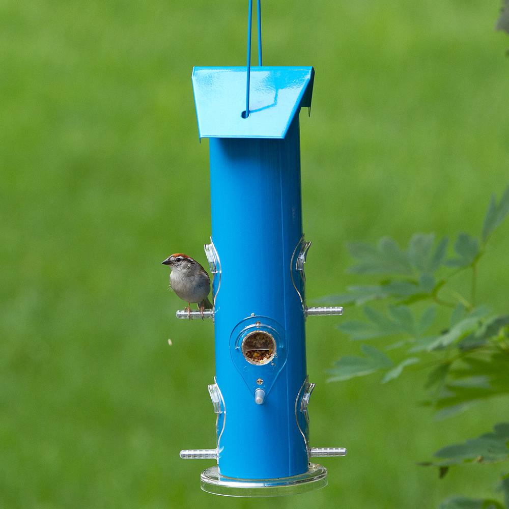 Wild Bird Feeder | Tube Style | 6 Port | Blue | Perky Pet W02-391