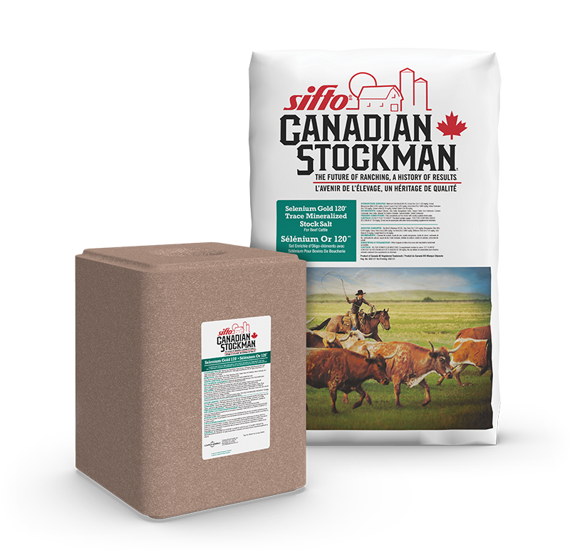 Salt Block | Selenium | Trace Elements | Cattle |Gold 120