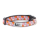 Dog Collar | Clip Collar | RC Pets