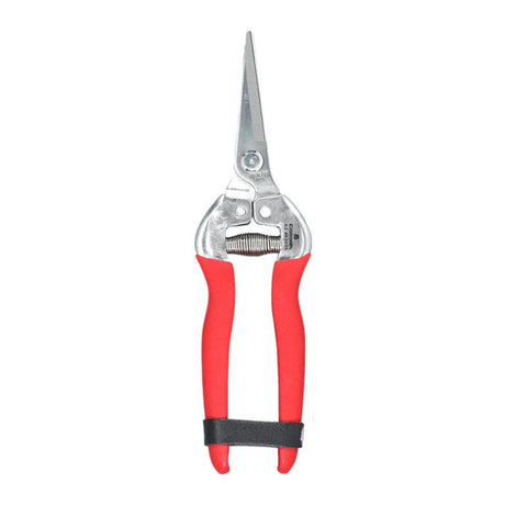 Front view of Corona pruning shears with 1-3/4in long straight blades on white background