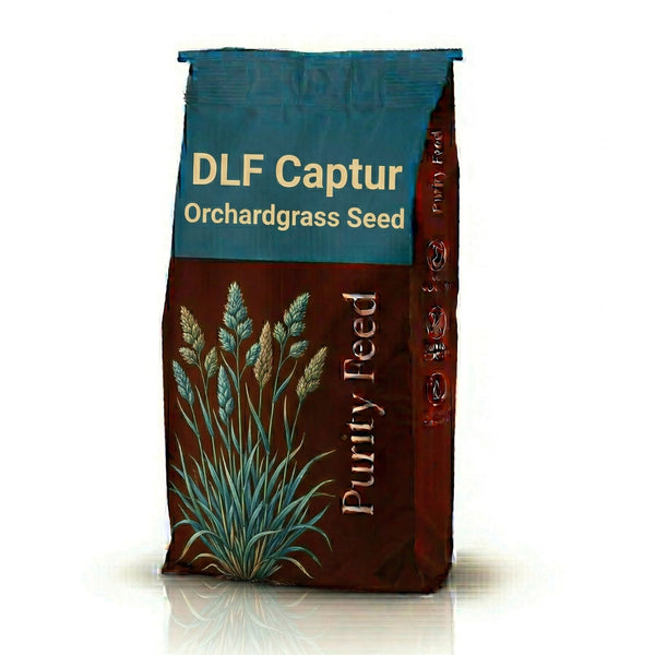 DLF Echelon Orchardgrass Seed - Late Maturity Winter Hardy | Multi-Cut | 22.7 kg (50 lb)