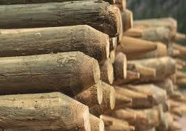 Premium Pressure Treated Wood Fence Posts 4-5" (Various lengths/ 70 per bundle)