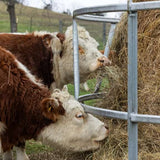 Round Bale Feeder | Galvanized | Eco Smart | Behlen 26100138