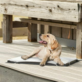 Farm Innovators Heated Pet Mat in use outdoors in Kamloops, British Columbia, providing pets with gentle, consistent warmth even in cold weather conditions