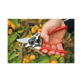 Felco Hand Pruner