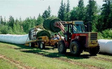 Interior Cereal Silage Mix - Barley/Oat/Pea | High-Protein Forage | 1000 Kg. Mini Bulk