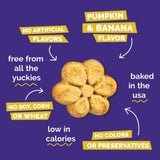 Fruitables Crunchy Pumpkin & Banana Dog Treats | 340g