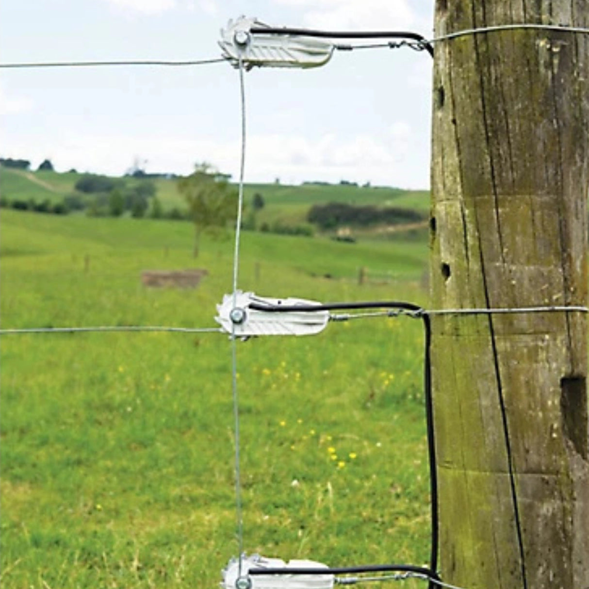 Gallagher Electric Fence Insulators Strainer installed on an electric fence outdoors in Kamloops, British Columbia