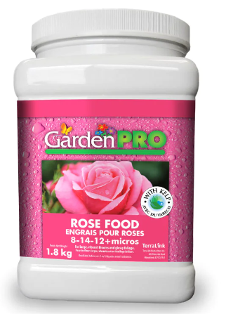 GP Rose 8-14-12 1.8kg