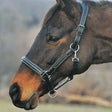 Henri de Rivel Fancy Stitch Horse Halter being used on a Horse in the outdoors of Kamloops, British Columbia
